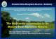 The biodiversity conservation in the Danube Delta ... · PDF file Danube Delta Biosphere Reserve Authority The biodiversity conservation in the Danube Delta Biosphere Reserve Dr. ing.