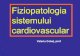 Fiziopatologia sistemului cardiovascular ... ¢â‚¬¢ Substitutiv¤’ (£®n infarctul miocardic acut) 30 INSUFICIEN¨‘A