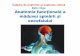 Anatomia funcțională a măduvei spinării și encefalului · PDF file 2020. 12. 15. · • se implicăîn fenomenele de cicatrizare ale ţesutuluinervos (în caz de lezare a unei