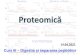 Curs III –Digestia și separarea peptidelor 23.03.2020 Proteomică –Curs III I. 3. Digestia proteinelor pentru generarea de peptide Proteinele pot fi convertite în peptide printr-un