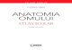 FLORICA ŢIBEA ANATOMIA OMULUI - · PDF file 2018. 5. 5. · marele dorsal mu[chiul triceps ... · Atlas de anatomia omului(vol. I), Moscova, Editura Medicina, 1978. · Biosphere,