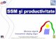 SSM şi productivitate - Inspectia Muncii