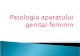 LP05 Genital Feminin