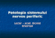 Patologia Sistemului Nervos Periferic
