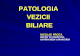 Proca 2012 Patologia Vezicii Biliare