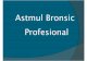 Astmul Bronsic Profesional