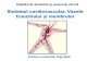 Catedra de anatomie ¨â„¢i anatomie clinic¤’ Sistemul vascular ¢â‚¬¢ S£¢ngele din ventriculele cordului este