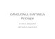 GANGLIONUL SANTINELA Patologie - SANTINELA AP.pdf GANGLIONUL SANTINELA Patologie FETICA BOGDAN MIHAELA