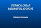 Hematologie an 3.ppt